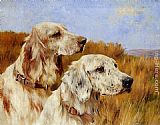 Setters Paintings - Two Setters by Arthur Wardle